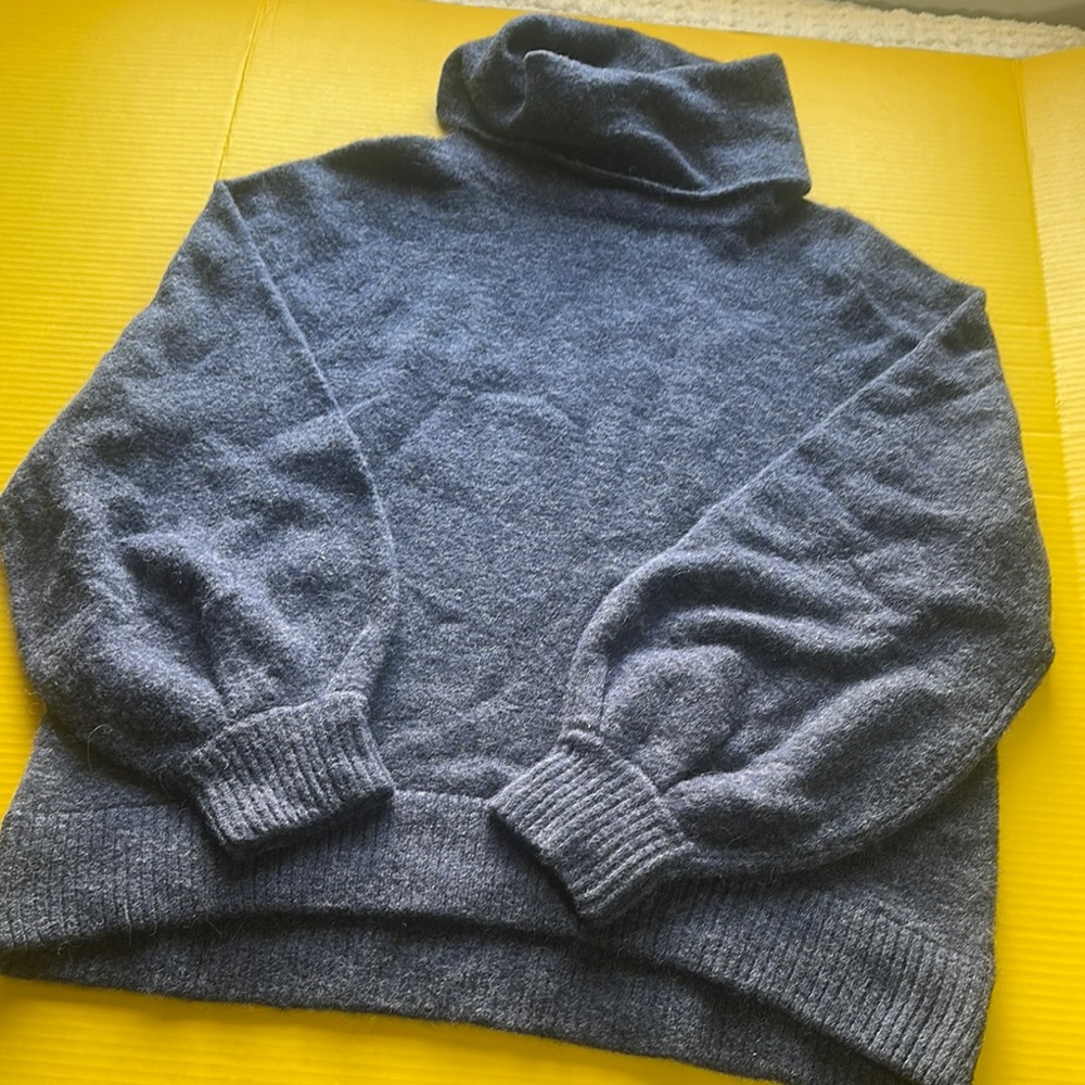 The Group Babaton turtle neck sweeter